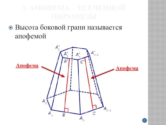 3. АПОФЕМА – УСЕЧЕННОЙ ПИРАМИДЫ Высота боковой грани называется апофемой Апофема Апофема