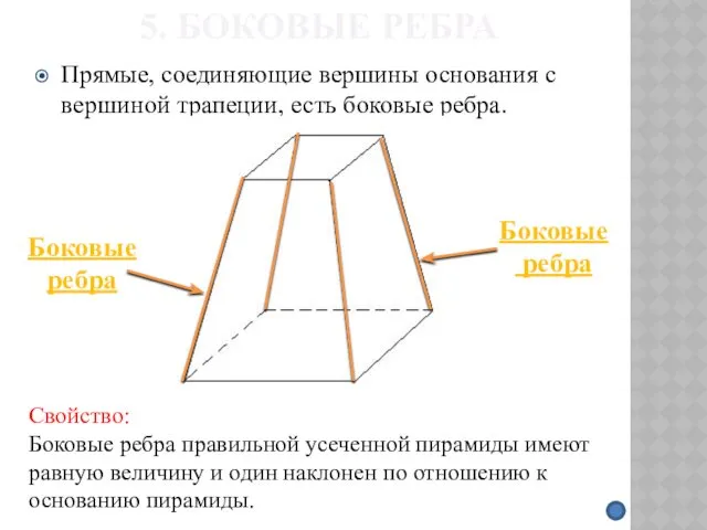 5. БОКОВЫЕ РЕБРА Прямые, соединяющие вершины основания с вершиной трапеции,