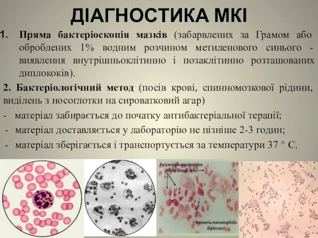 ДІАГНОСТИКА МКІ Пряма бактеріоскопія мазків (забарвлених за Грамом або оброблених