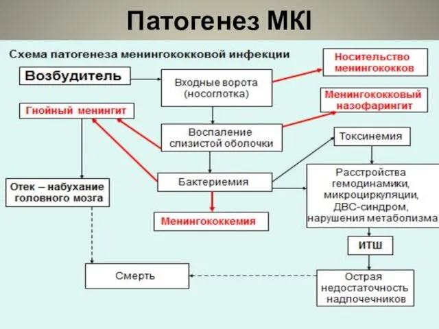 Патогенез МКІ