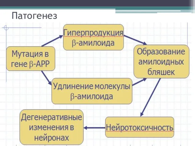 Патогенез