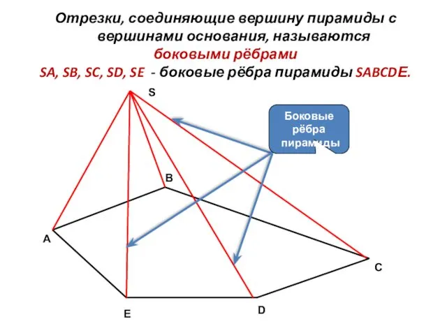 C Отрезки, соединяющие вершину пирамиды с вершинами основания, называются боковыми