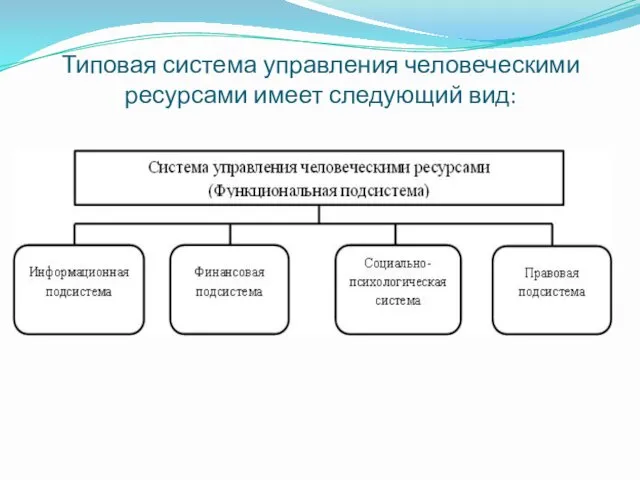 Типовая система управления человеческими ресурсами имеет следующий вид: