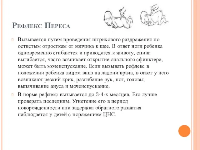 Рефлекс Переса Вызывается путем проведения штрихового раздражения по остистым отросткам