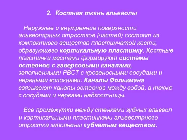 Костная ткань альвеолы Наружные и внутренние поверхности альвеолярных отростков (частей)