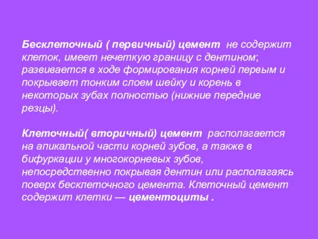 Бесклеточный ( первичный) цемент не содержит клеток, имеет нечеткую границу