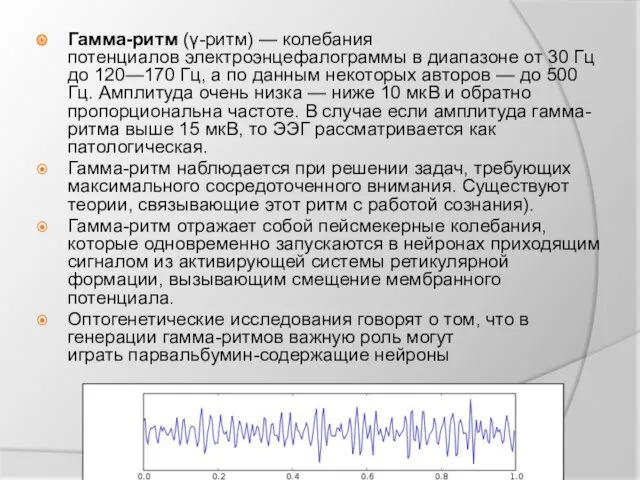 Гамма-ритм (γ-ритм) — колебания потенциалов электроэнцефалограммы в диапазоне от 30