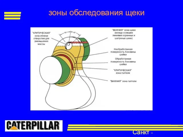 Санкт - Петербург зоны обследования щеки