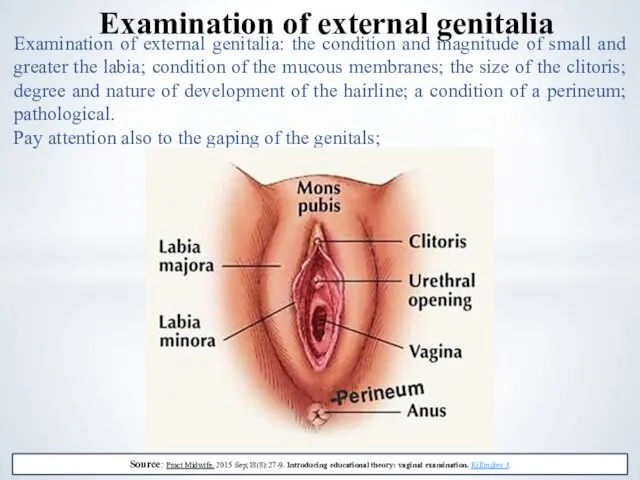 Examination of external genitalia: the condition and magnitude of small