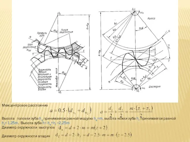 Межцентровое расстояние Высота головки зуба ha принимается равной модулю ha=m,