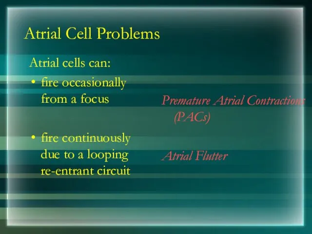 Atrial Cell Problems Atrial cells can: fire occasionally from a focus fire continuously