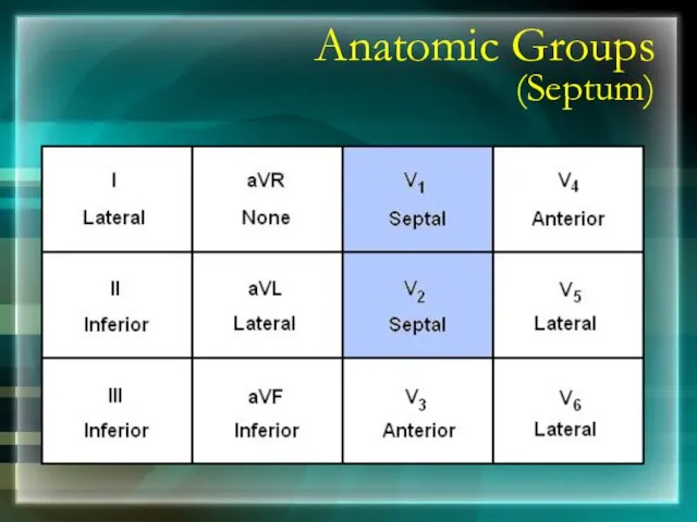 Anatomic Groups (Septum)