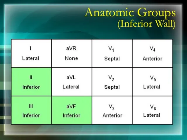 Anatomic Groups (Inferior Wall)