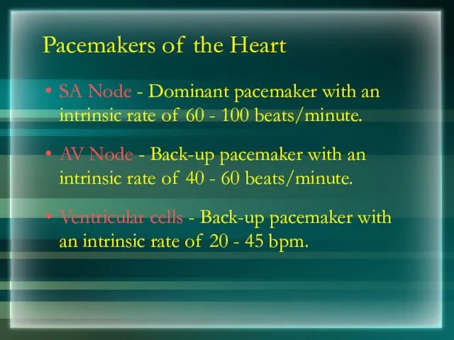 Pacemakers of the Heart SA Node - Dominant pacemaker with an intrinsic rate