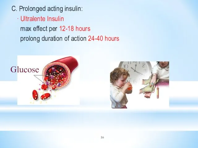 C. Prolonged acting insulin: ∙ Ultralente Insulin max effect per 12-18 hours prolong