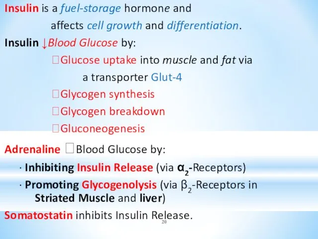 Insulin is a fuel-storage hormone and affects cell growth and differentiation. Insulin ↓Blood