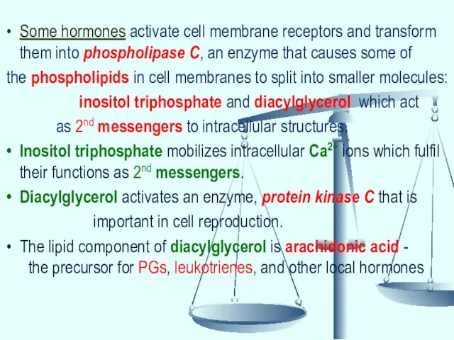 Some hormones activate cell membrane receptors and transform them into phospholipase C, an