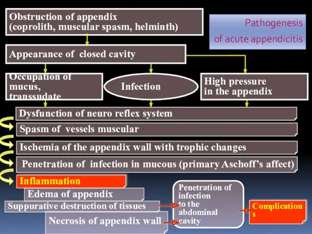 Obstruction of appendix (coprolith, muscular spasm, helminth) Appearance of closed cavity Occupation of