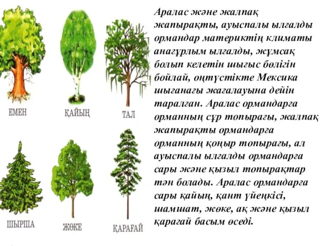 Аралас және жалпақ жапырақты, ауыспалы ылғалды ормандар материктің климаты анағұрлым