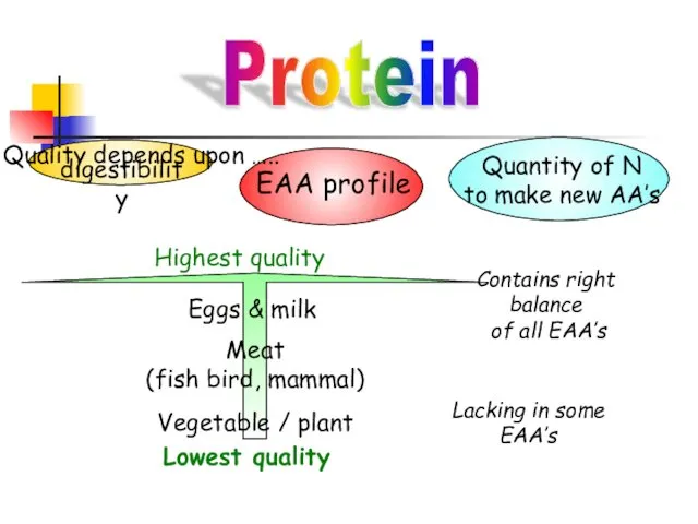 Protein Quality depends upon ….. digestibility EAA profile Quantity of