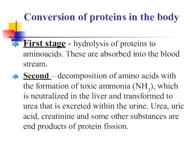 Conversion of proteins in the body First stage - hydrolysis