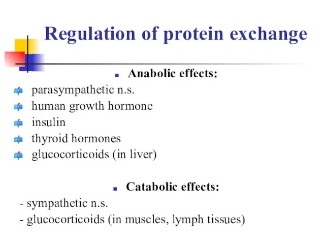 Regulation of protein exchange Anabolic effects: parasympathetic n.s. human growth