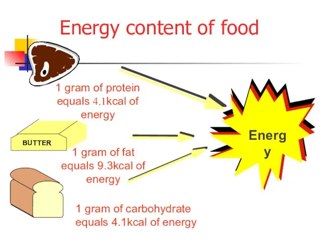 Energy content of food 1 gram of carbohydrate equals 4.1kcal