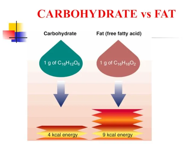 CARBOHYDRATE vs FAT