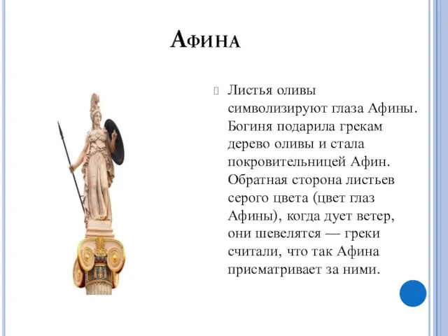 Афина Листья оливы символизируют глаза Афины. Богиня подарила грекам дерево
