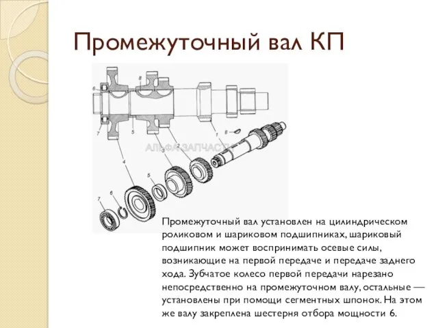 Промежуточный вал КП Промежуточный вал установлен на цилиндрическом роликовом и