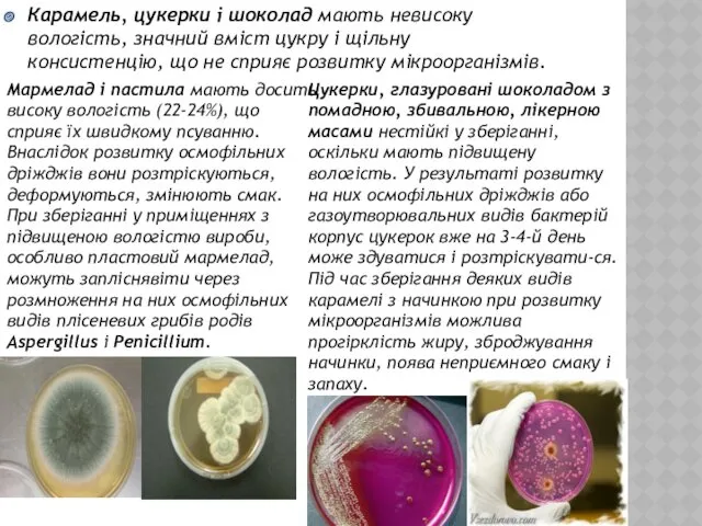 Карамель, цукерки і шоколад мають невисоку вологість, значний вміст цукру