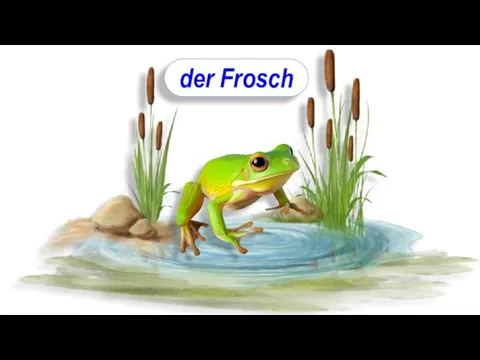 der Frosch