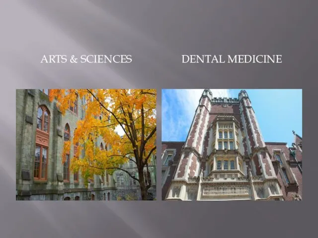 ARTS & SCIENCES DENTAL MEDICINE