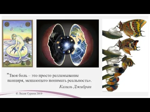 "Твоя боль – это просто разламывание панциря, мешающего понимать реальность». Калиль Джибран © Лидия Сурина 2019