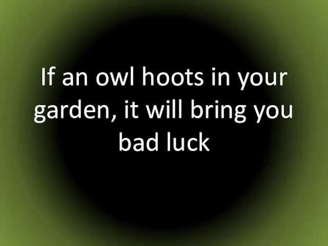 If an owl hoots in your garden, it will bring you bad luck