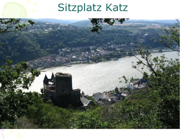 Sitzplatz Katz