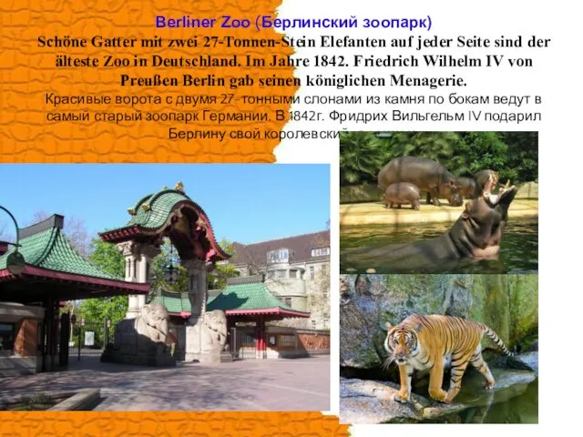 Berliner Zoo (Берлинский зоопарк) Schöne Gatter mit zwei 27-Tonnen-Stein Elefanten