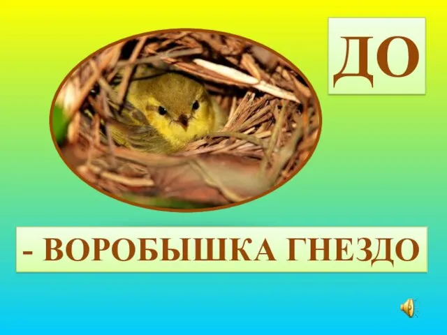 ДО - ВОРОБЫШКА ГНЕЗДО