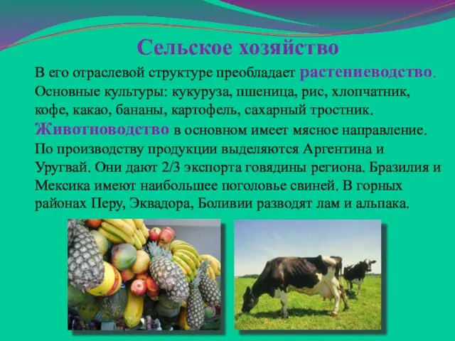 Сельское хозяйство В его отраслевой структуре преобладает растениеводство. Основные культуры: