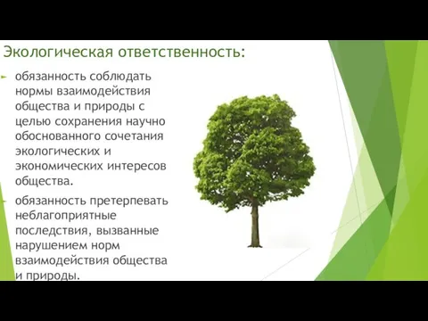 Экологическая ответственность: обязанность соблюдать нормы взаимодействия общества и природы с