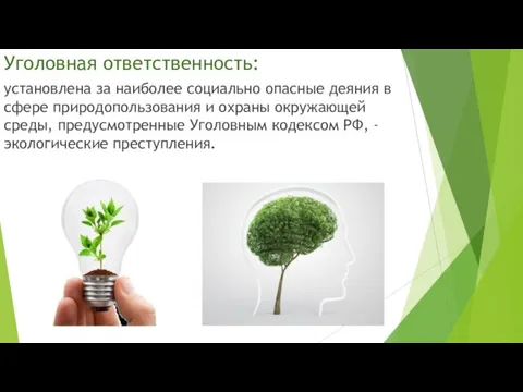 Уголовная ответственность: установлена за наиболее социально опасные деяния в сфере