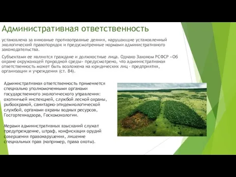 Административная ответственность установлена за виновные противо­правные деяния, нарушающие установленный экологический