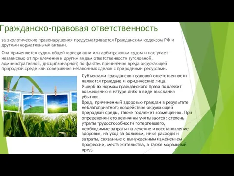 Гражданско-правовая ответственность за экологические правонаруше­ния предусматривается Гражданским кодексом РФ и