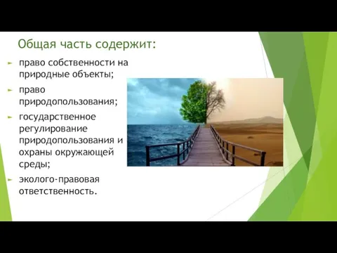 Общая часть содержит: право собственности на природные объекты; право природопользования;