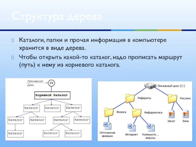 Каталоги, папки и прочая информация в компьютере хранится в виде