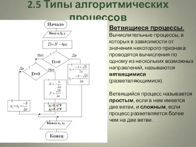 2.5 Типы алгоритмических процессов Ветвящиеся процессы. Вычислительные процессы, в которых