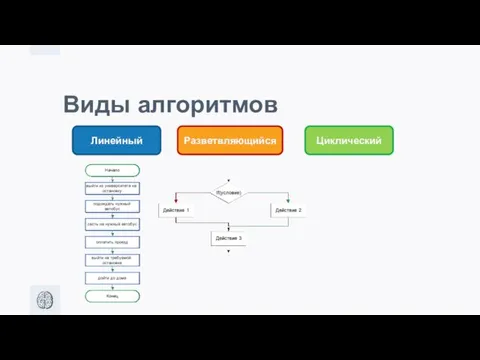 Виды алгоритмов Линейный Разветвляющийся Циклический