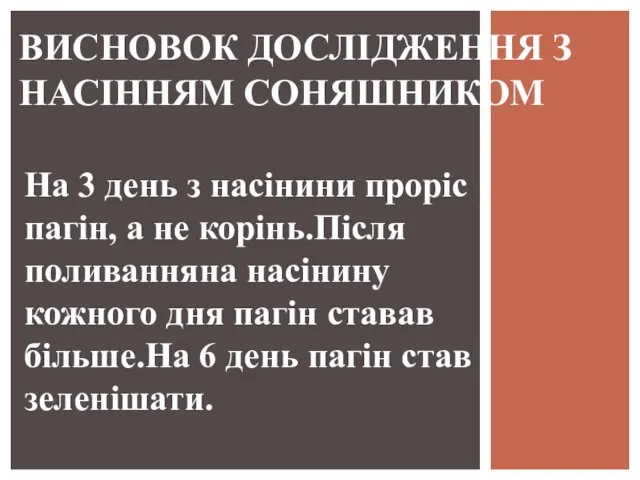 На 3 день з насінини проріс пагін, а не корінь.Після