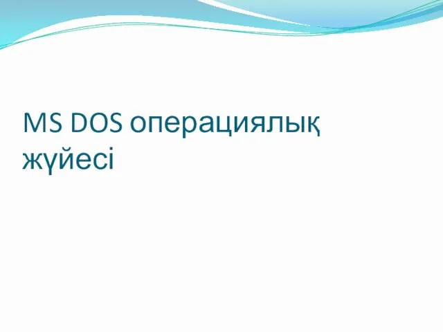 MS DOS операциялық жүйесі