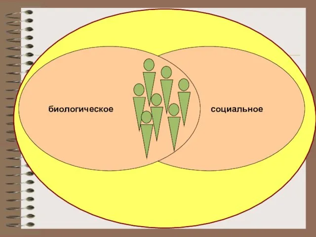 социальное биологическое